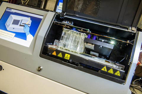 Rapid DNA Damage Test